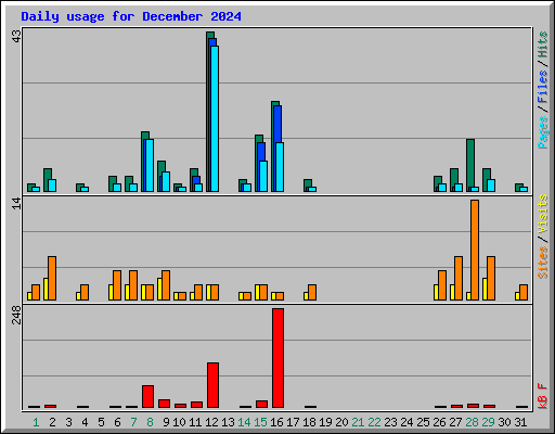 Daily usage for December 2024
