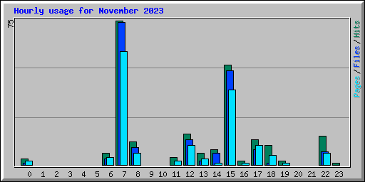 Hourly usage for November 2023