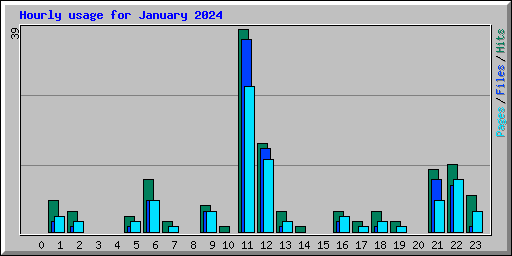 Hourly usage for January 2024